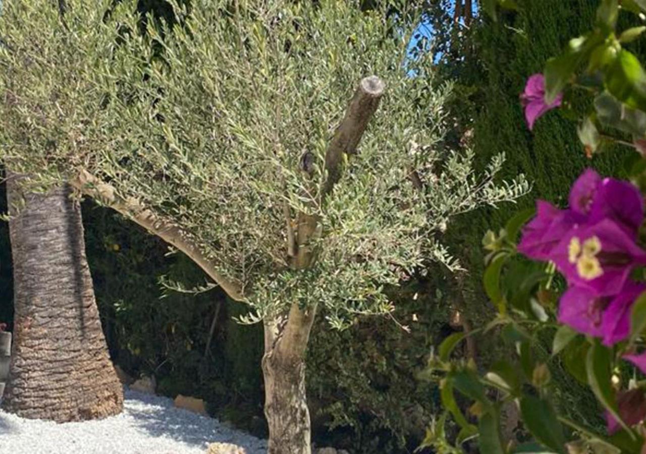 Holiday Villa Moraira Exterior photo